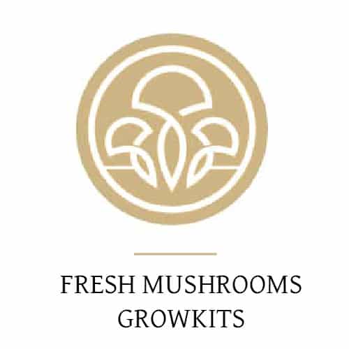Kits de Cultivo Fresh Mushrooms