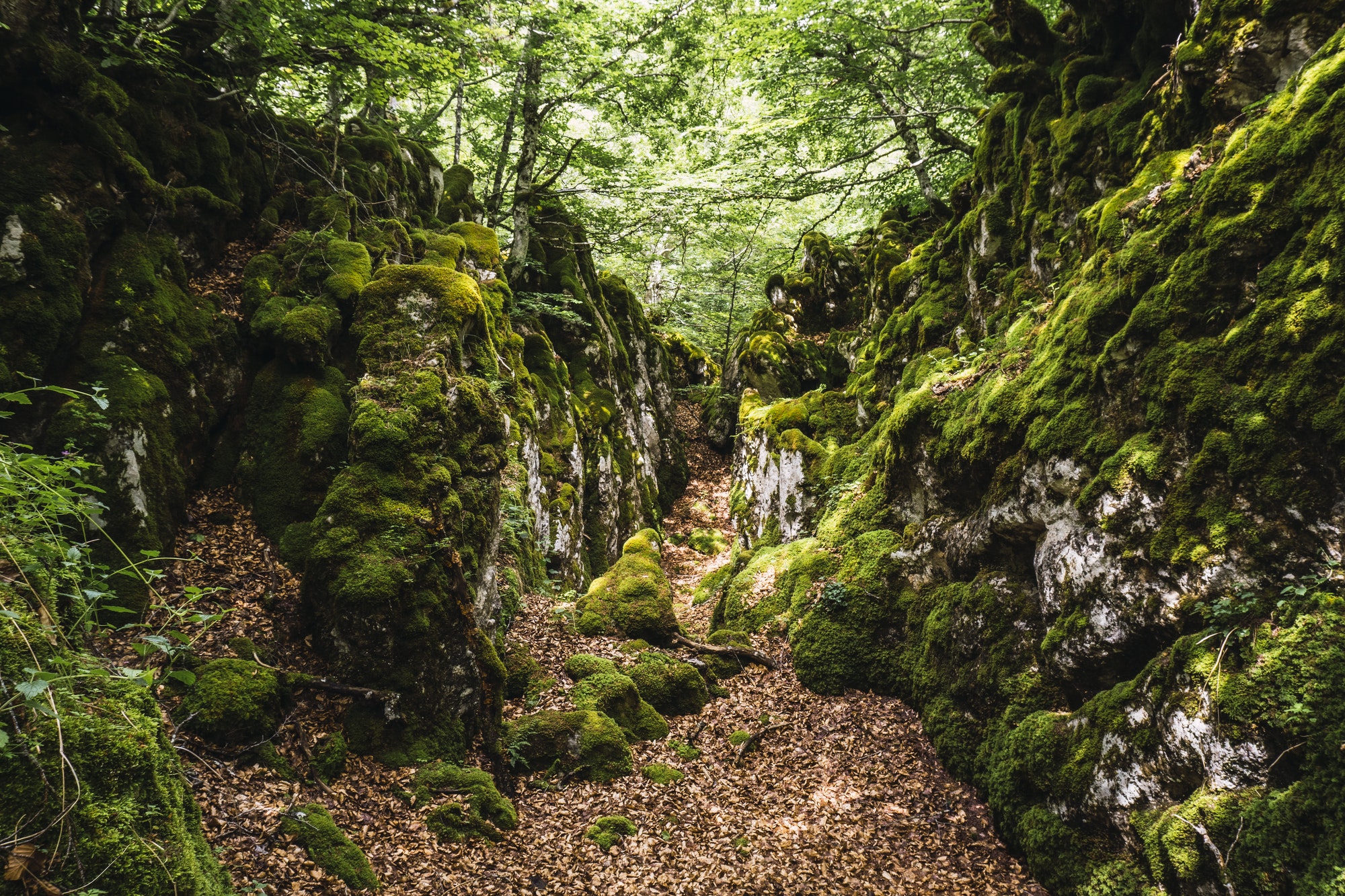 Lugares mágicos en el bosque del monte Aizkorri