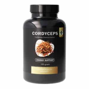 Cordyceps (Sinensis) - Apoyo Energético - 100 Gramos