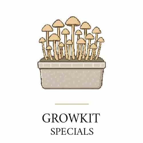 Especiales Growkit